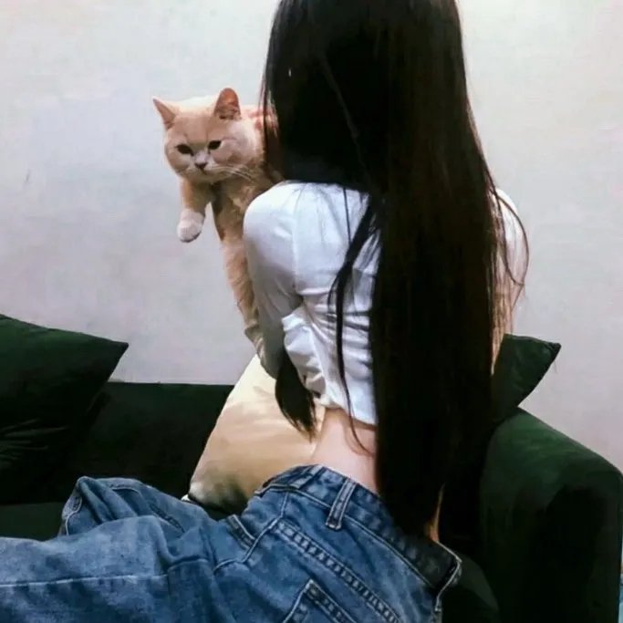 孤独之岛