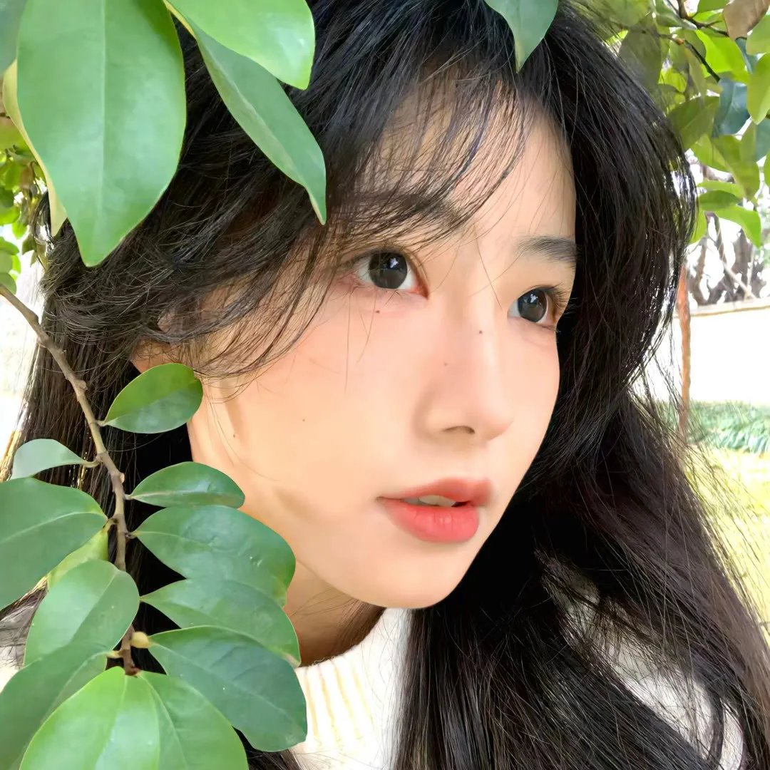 寻觅